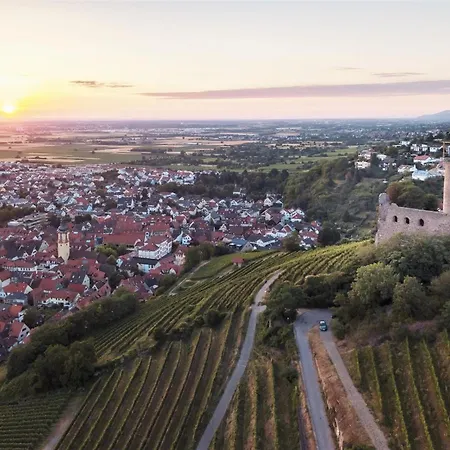 Rooftop 85qm - Burgblick - Nahe Heidelberg - Loggia - Buero - Klima 아파트 슈리스하임