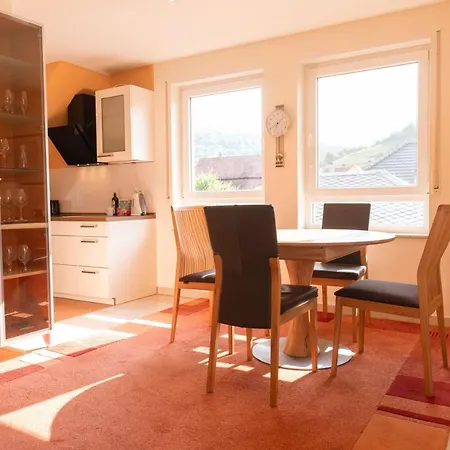 Rooftop 85qm - Burgblick - Nahe Heidelberg - Loggia - Buero - Klima * Шрисхайм