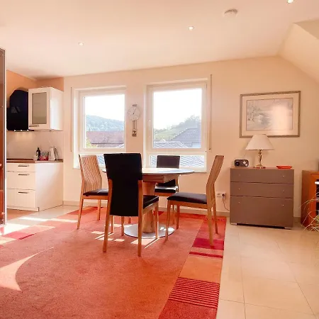 Rooftop 85qm - Burgblick - Nahe Heidelberg - Loggia - Buero - Klima 아파트